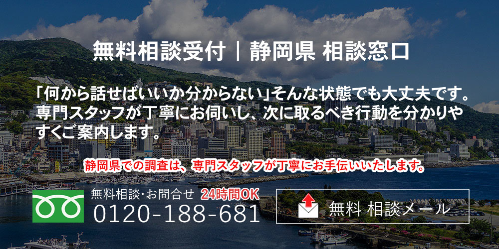 都道府県別調査 静岡県
