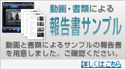 動画・書類による報告書サンプル