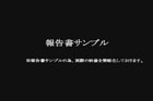 動画による報告書のサンプル